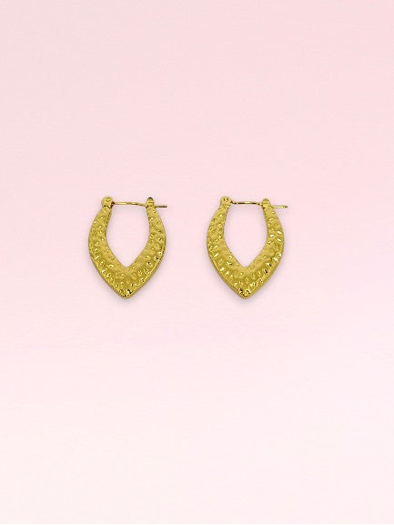 Golden Hoop Earrings
