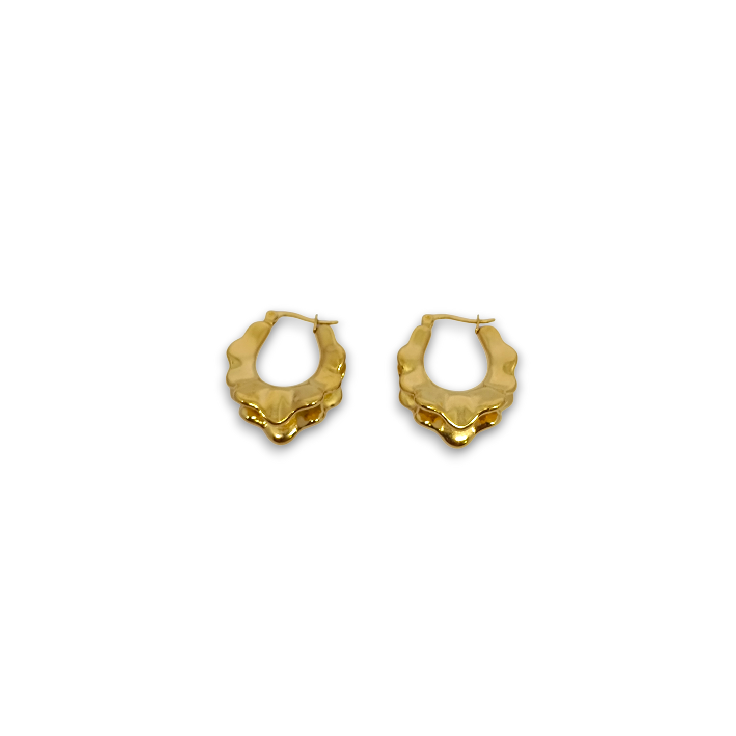 Golden Hoop Earrings