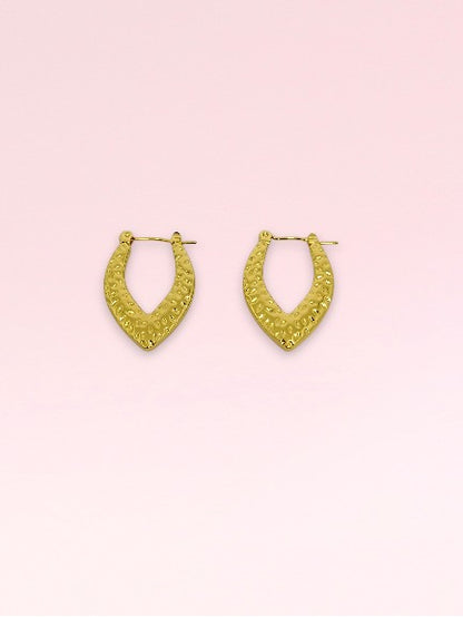 Golden Hoop Earrings