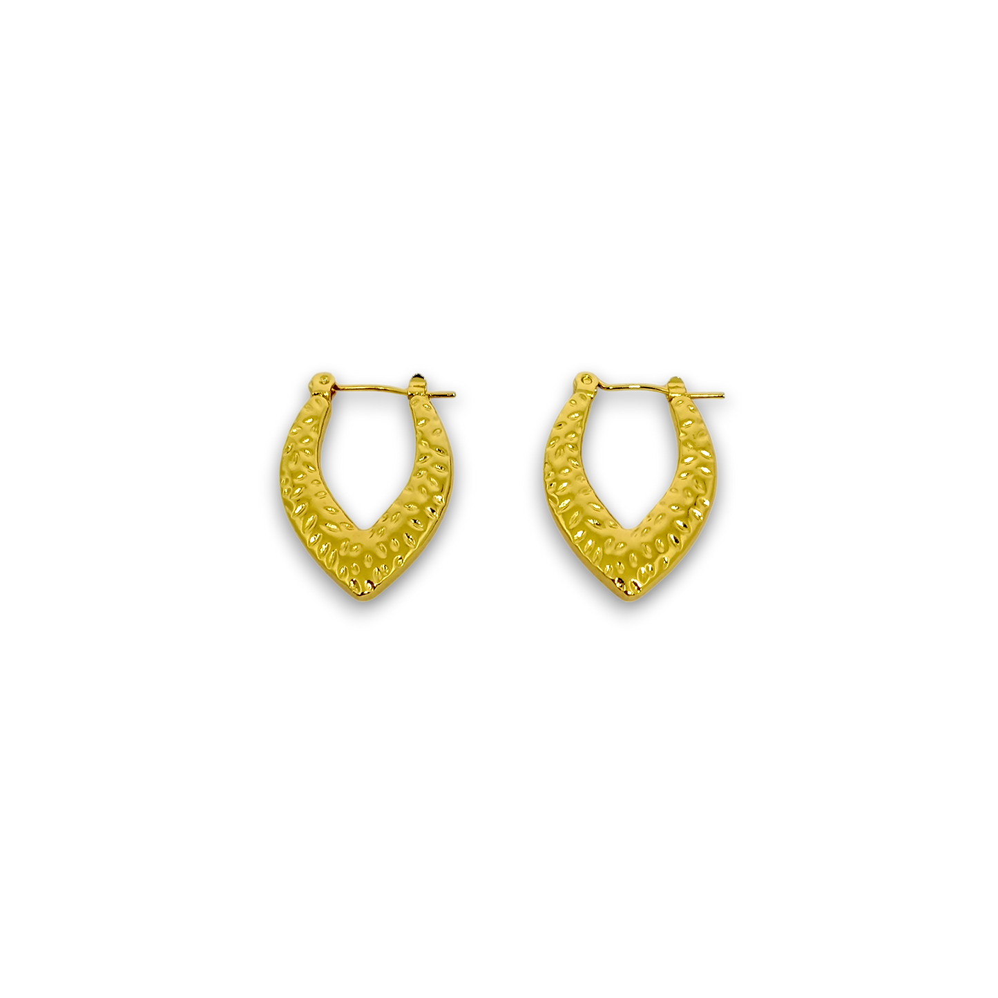 Golden Hoop Earrings