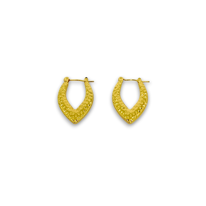 Golden Hoop Earrings