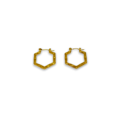 Golden hexagonal Hoop Earrings