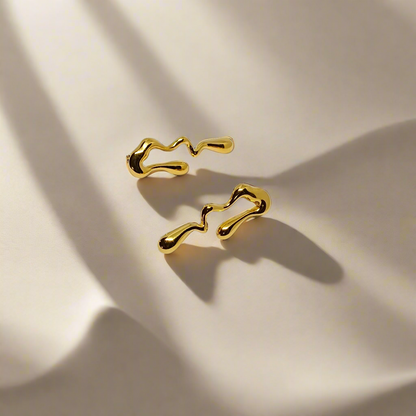 Pair of gold earrings on a white background