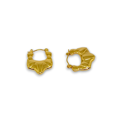 Golden Hoop Earrings