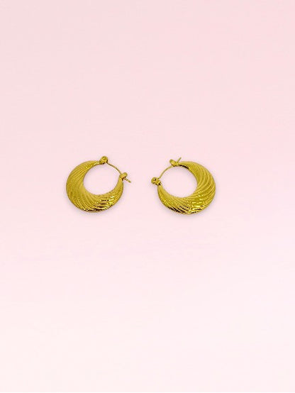 Golden Hoop Earrings